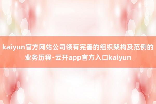 kaiyun官方网站　　公司领有完善的组织架构及范例的业务历程-云开app官方入口kaiyun