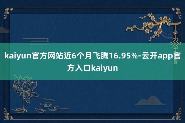 kaiyun官方网站近6个月飞腾16.95%-云开app官方入口kaiyun