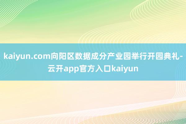 kaiyun.com向阳区数据成分产业园举行开园典礼-云开app官方入口kaiyun