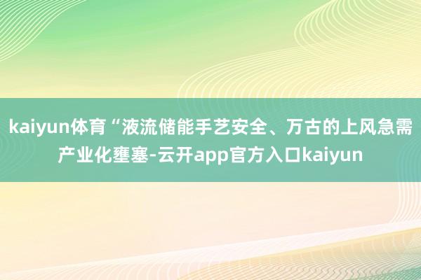 kaiyun体育“液流储能手艺安全、万古的上风急需产业化壅塞-云开app官方入口kaiyun