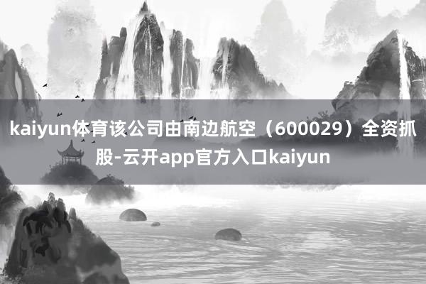 kaiyun体育该公司由南边航空（600029）全资抓股-云开app官方入口kaiyun